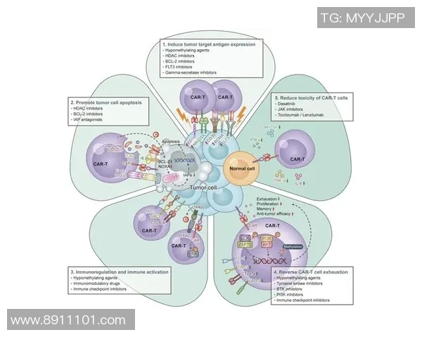 南京排球队速度对比分析揭示团队优势与潜力的深度解读