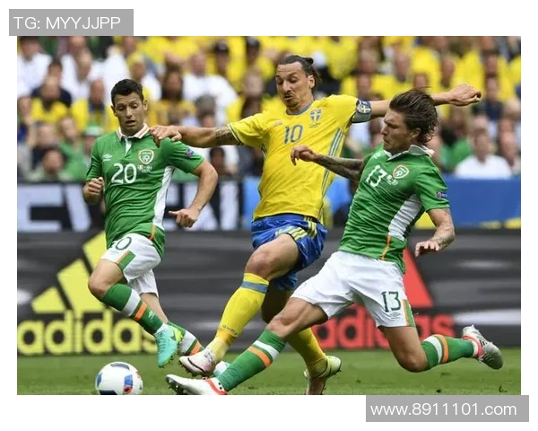 北京羽毛球队在欧锦赛中的技术表现分析与点评