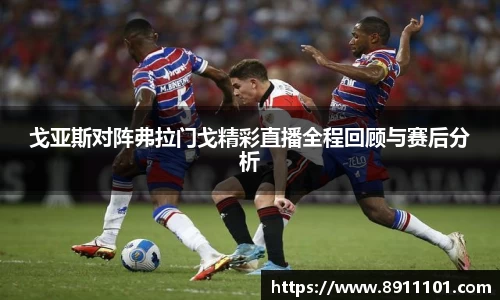 戈亚斯对阵弗拉门戈精彩直播全程回顾与赛后分析